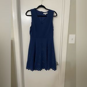 Francesca’s Blue Dress
